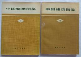 中国蛾類図鑑　1・3　2冊