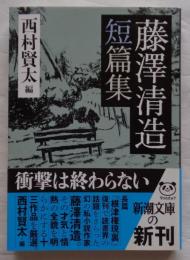 藤澤清造短篇集　（新潮文庫 ふ-43-2）