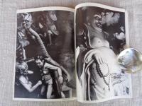 写真試論　（No.2/Vol.1）神話と宗教の世界/映画批評の現在/ウジェーヌ・アッジェ/バヴァリアの城/ポセイドーンにおける馬と海/砦町・赤道祭/パノラマ/殉教者たちの風景/島嶼遊視