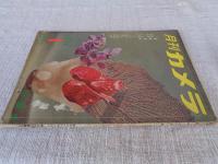 月刊カメラ　1956年1月号　表紙：勅使河原蒼風・作品/尾崎三吉・撮影