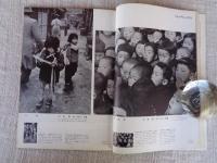 月刊カメラ　1956年3月号（第22巻第3号）　●高感度フィリム　表紙：尾崎三吉