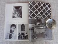 月刊カメラ　1955年7月号（第21巻第1号）●特集：35ミリカメラの本格的研究