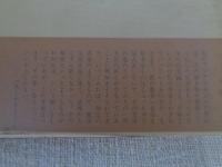 あひるの子 : アンデルセン幻想