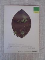 そんなつもりじゃないんだけど