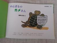 やんばるのカメさん