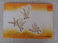 しちめんちょうおばさんのこどもたち