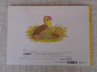 ことりのうち : ばばばあちゃんのおはなし