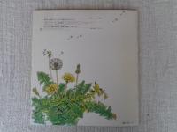 はながさいたら