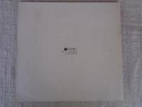 つれだっていわきを描いた作家たち展 : 1954年頃