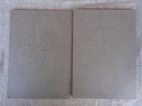 道祖神調査報告書