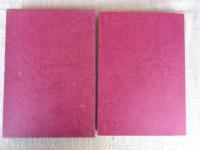 唐沢・河南沢 : からさわ・かなんざわ遺跡発掘調査報告書 : 瓦窯跡群と横穴墓群の調査