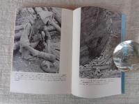 黒潮のはてに子らありて : 青が島教師十年の記録