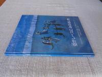 空がレースにみえるとき