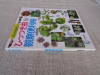 ひっつき虫観察便利帳 : ふしぎが楽しい