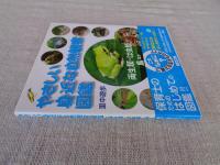 やさしい身近な自然観察図鑑
