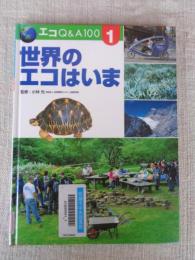 世界のエコはいま　エコQ&A 100