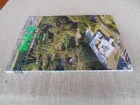 (雑誌) 新建築　2020年 6月号 ：創刊95周年　四日市市中央緑地スポーツ施設　熊本城特別見学通路