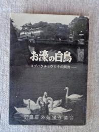 お濠の白鳥 : コブハクチョウとその飼育