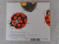 てんとうむしみつけた