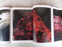 季刊銀花 第86号 1991年夏の号 ●特集①花人、中川幸夫の、地・水・花・風・空　特集②王都千年の氣韻充ちる、糺の森の一生