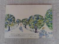 よわむしなじてんしゃ　※絵本のたのしみ付き