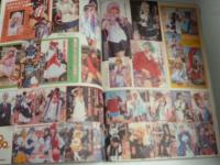 週刊プレイボーイ　2013年2月4日　No.5　小嶋陽菜/壇蜜/卯水咲流/河西智美/大場美奈/小嶋菜月/ヨンア/芽衣/柏木美里/DVD欠