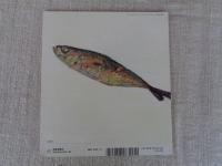 さかなをたべたあとのほね