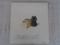 海の中のぞいた