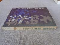 不知火海 : 水俣・終りなきたたかい