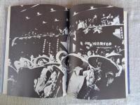 不知火海 : 水俣・終りなきたたかい