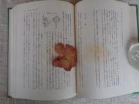 日本染織発達史