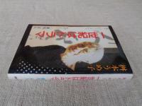 桝本うめ子・一世紀はドラマ