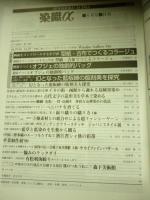 月刊 染織α　1999年6月号 No.219　特集:型紙・古布でつくるコラージュ／オブジェの独創的バッグ／幻となった藍板締の版刻美を探究