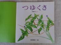 つゆくさ　　（月刊かがくのとも・通巻244号）