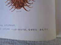 ぼくはたね : たびをするたねのはなし　月刊かがくのとも 1988年10月号　