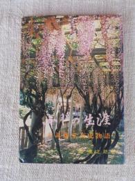 ふじの生涯　巷説藤堂高虎物語