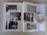 戦後児童文学の50年