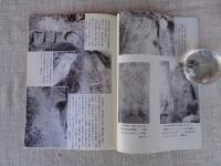 石塔・石仏