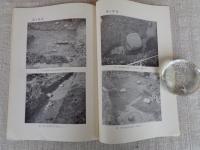 鳥取県西伯郡岸本町大殿　『大寺廃寺発掘調査報告書』　国道180号線改良工事に伴う埋蔵文化財調査報告Ⅱ