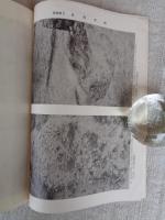 長岡宮跡発掘調査概要　(埋蔵文化財発掘調査概報(1967)別刷