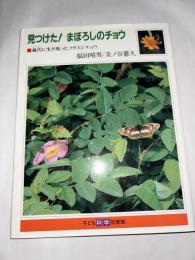見つけた！ まぼろしのチョウ : 風穴に生き残ったフタスジチョウ　(子ども科学図書館)