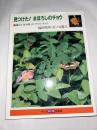 見つけた！ まぼろしのチョウ : 風穴に生き残ったフタスジチョウ　(子ども科学図書館)
