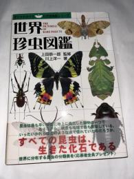 世界珍虫図鑑　(オリクテロプス自然博物館シリーズ)