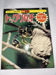 トックリバチ　(たのしい理科教室・昆虫シリーズ)