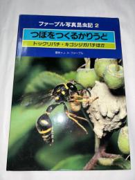 つぼをつくるかりうど : トックリバチ・キゴシジガバチ・ほか　ヒメベッコウバチ　(ファーブル写真昆虫記 ②)