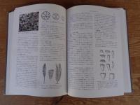 古生物の総説・分類