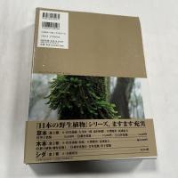 日本の野生植物　コケ