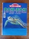 爬虫類・両生類