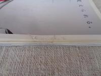 東京人 2008年 06月号（no.255）●特集：2008年東京100景　カメラ散歩対談/荒木経惟+吉増剛造　ホンマタカシ：東京長日平成20年