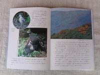 空の王者イヌワシ